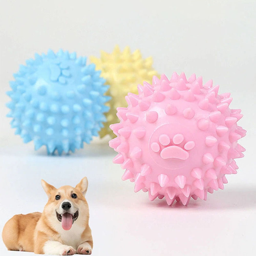 Dog Chew Toy Footprint Spiked  - Spike Ball Game recension och pris
