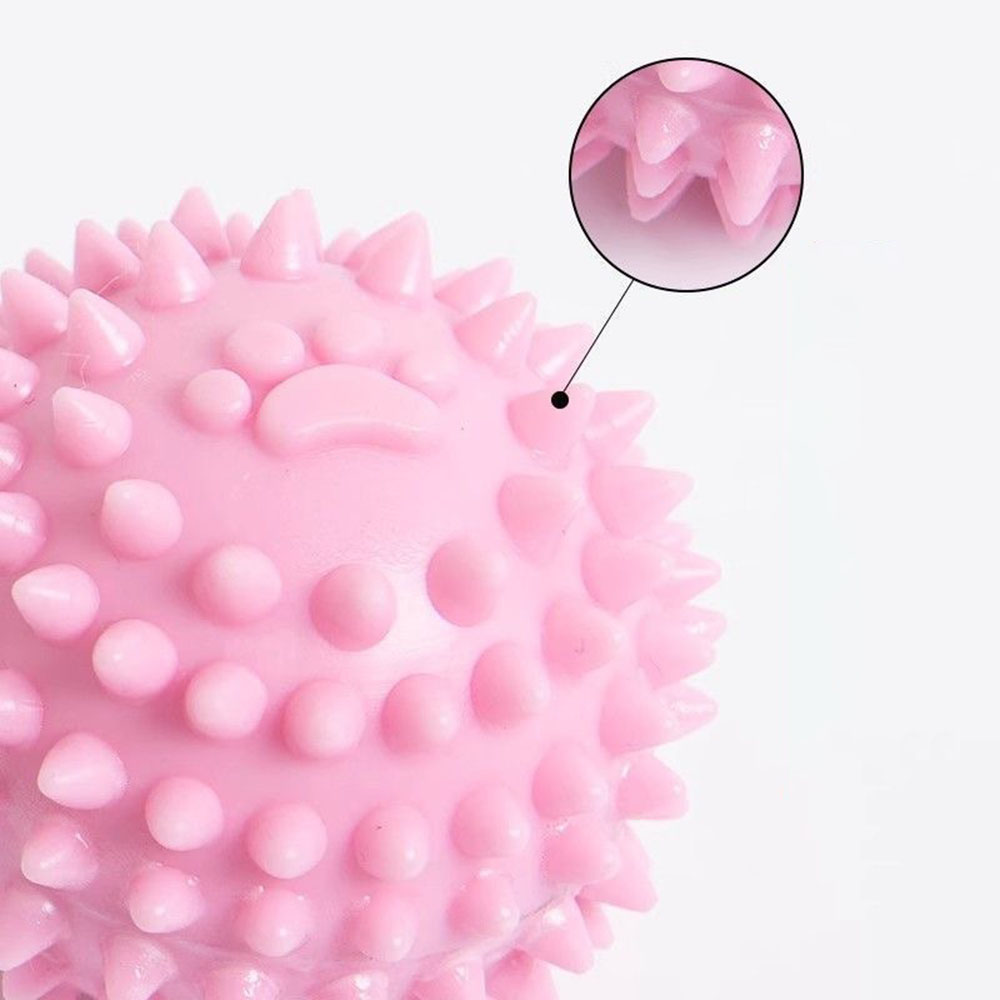 Dog Chew Toy Footprint Spiked  - Spike Ball Game recension och pris