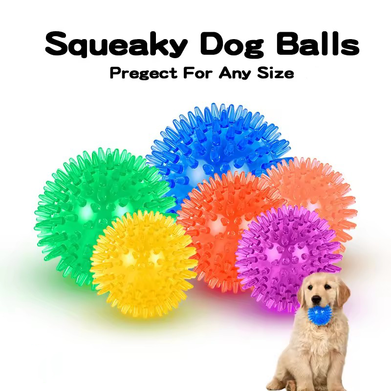 TPR Squeaky Spiked Dog Ball Ch - Spike Ball Game recension och pris