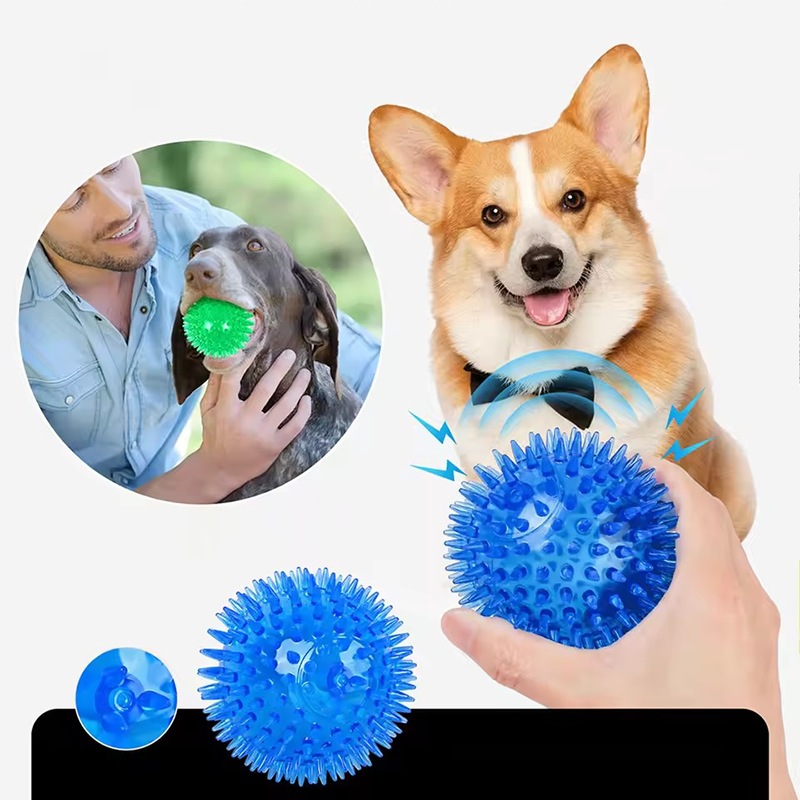TPR Squeaky Spiked Dog Ball Ch - Spike Ball Game recension och pris