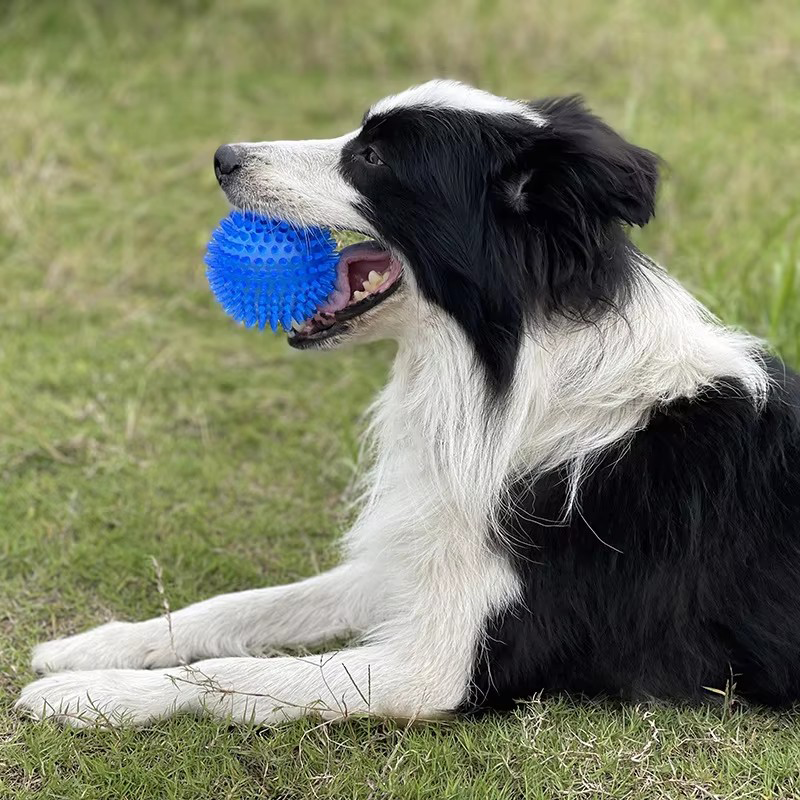 TPR Squeaky Spiked Dog Ball Ch - Spike Ball Game recension och pris